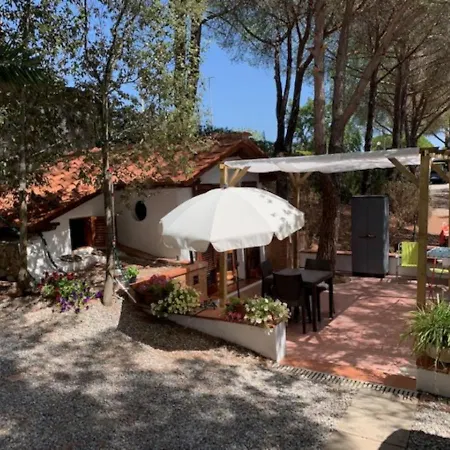 Focardo - Goelba Capoliveri (Isola d'Elba)